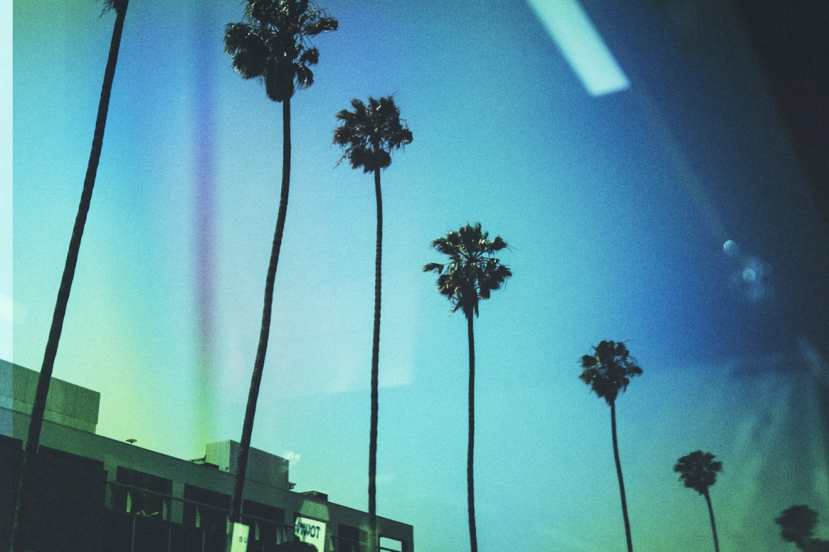 JorgePetrov_USA_2016_LA-3