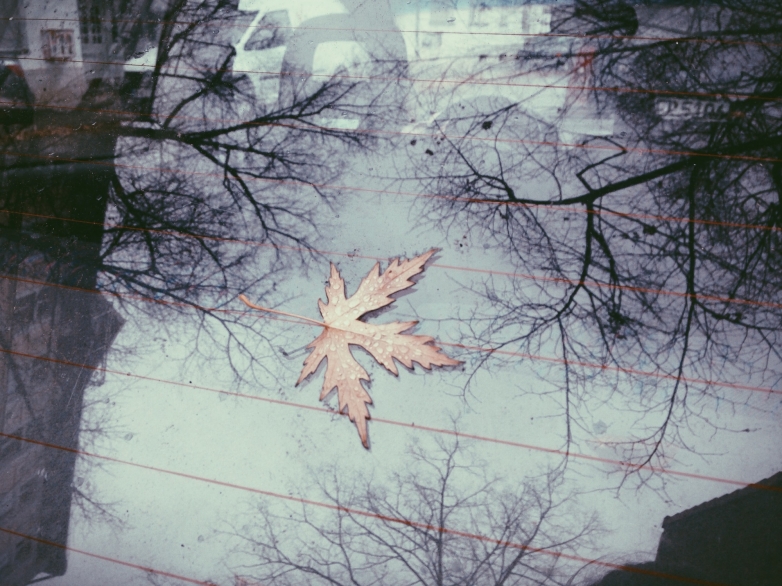 Processed with VSCOcam with p5 preset